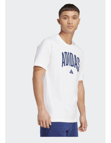 ADIDAS JM6416 M COLLEGIATE T