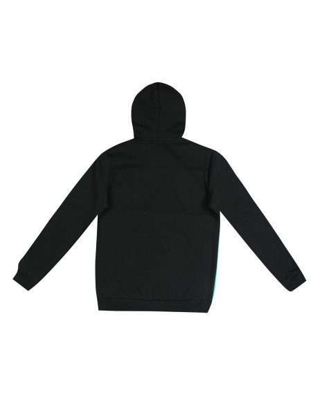 PUMA ESS+ COLORBLOCK HOOD
