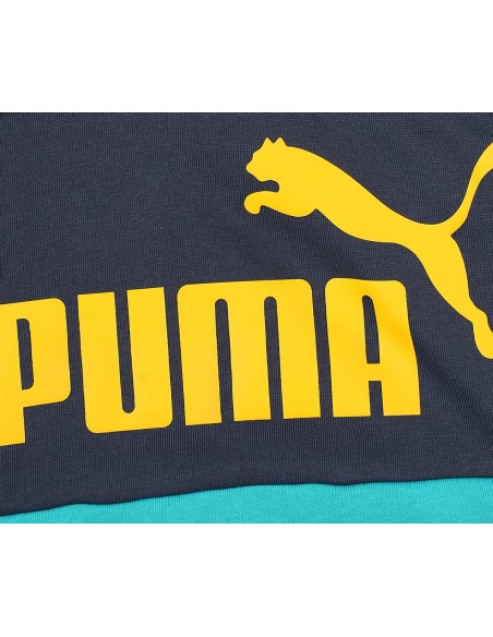 PUMA ESS+ COLORBLOCK HOOD
