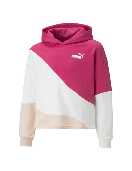 PUMA POWER Colorblock CAT Hoodie G-64
