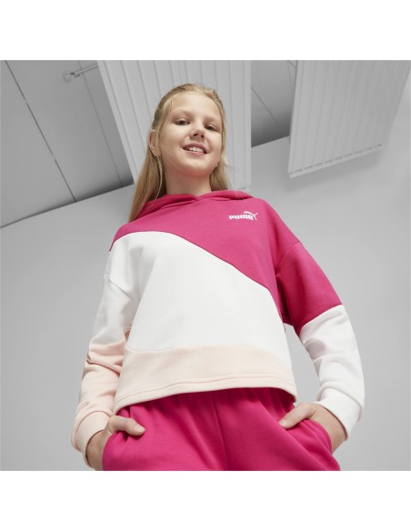 PUMA POWER Colorblock CAT Hoodie G-64