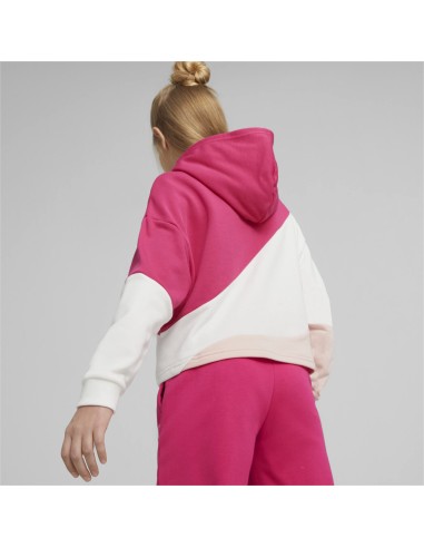 PUMA POWER Colorblock CAT Hoodie G-64