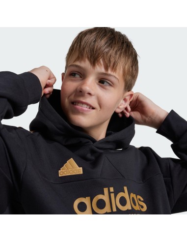 ADIDAS SUDADERA J NP HOODIE