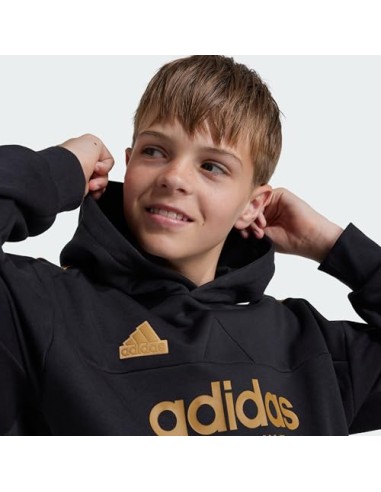 ADIDAS SUDADERA J NP HOODIE