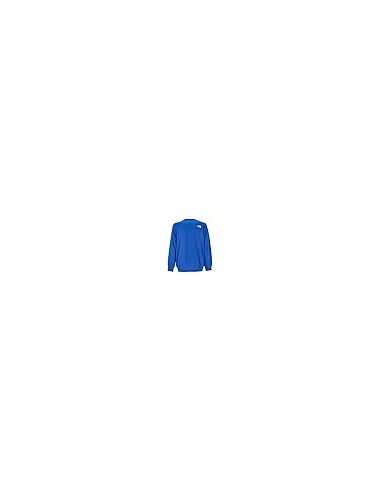 SUDADERA TNF M DREW PEAK LIGHT CREW - BLUE