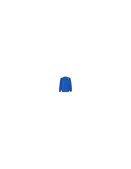 SUDADERA TNF M DREW PEAK LIGHT CREW - BLUE