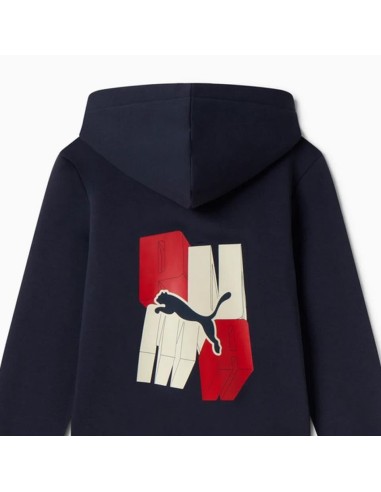 PUMA ESS+ GRAPHIC Hoodie FZ FL B - blue