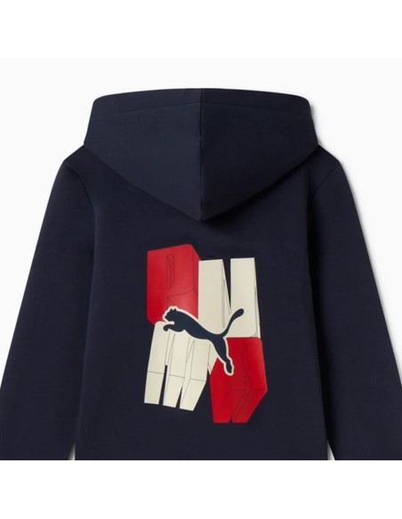 PUMA ESS+ GRAPHIC Hoodie FZ FL B - blue