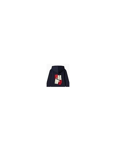 PUMA ESS+ GRAPHIC Hoodie FZ FL B - blue