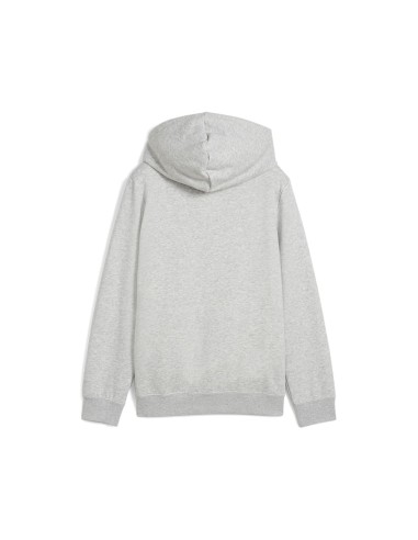 Sudadera Puma-MID90S Hoodie TR B-685148-04-GRIS...