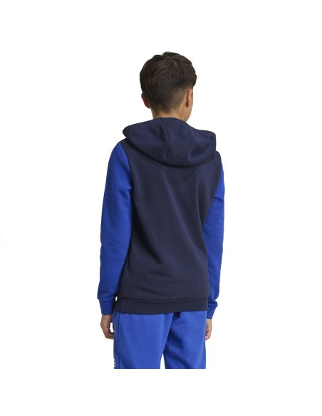 ADIDAS SUDADERA JBL CB HD