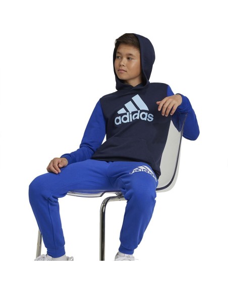 ADIDAS SUDADERA JBL CB HD
