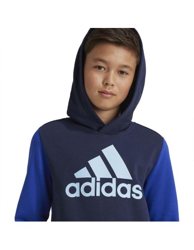ADIDAS SUDADERA JBL CB HD
