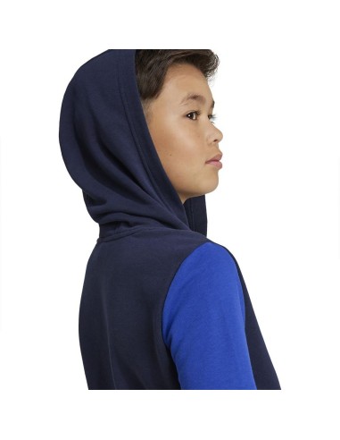 ADIDAS SUDADERA JBL CB HD