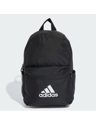 BAGS LK BP BOS
