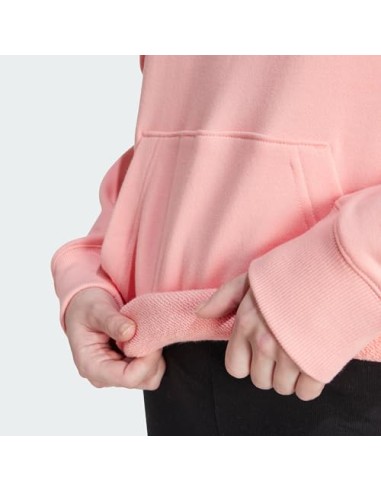 SUDADERA ADIDAS W LIN FT HD