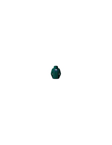 SUDADERA MEN'S RAGLAN BOX NSE HOODIE - GREEN