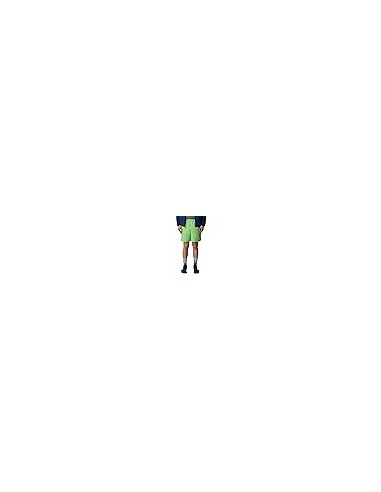SHORTS TNF MEN'S WATER SHORT
