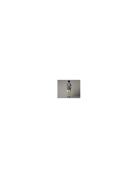 SHORTS TNF MEN'S WATER SHORT