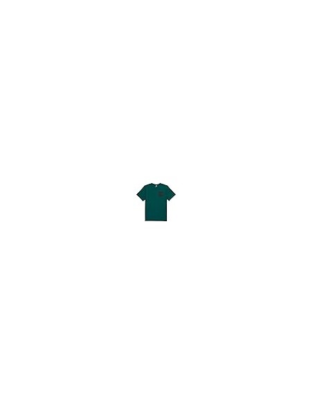 CAMISETA TNF MEN'S S/S FINE TEE
