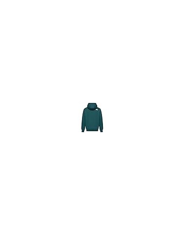 SUDADERA TNF MEN'S SIMPLE DOME HOODIE