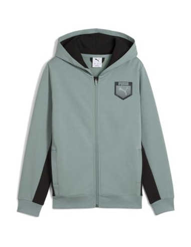 Chaqueta Puma-ACTIVE SPORTS Graphic Hoodie...