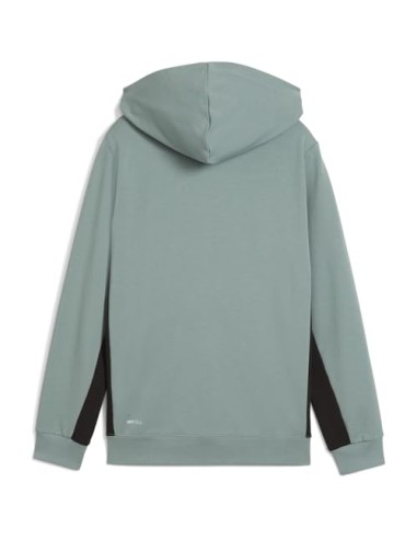Chaqueta Puma-ACTIVE SPORTS Graphic Hoodie...