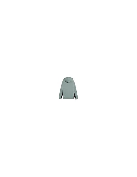 Chaqueta Puma-ACTIVE SPORTS Graphic Hoodie Full-Zip TR B-685179-30-VERDE UNISEX JUNIOR