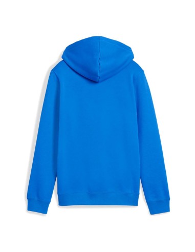 Sudadera Puma-PUMA ESS 2 COLOR Nº 1 LOGO HOODIE