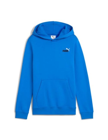 Sudadera Puma-PUMA ESS 2 COLOR Nº 1 LOGO HOODIE