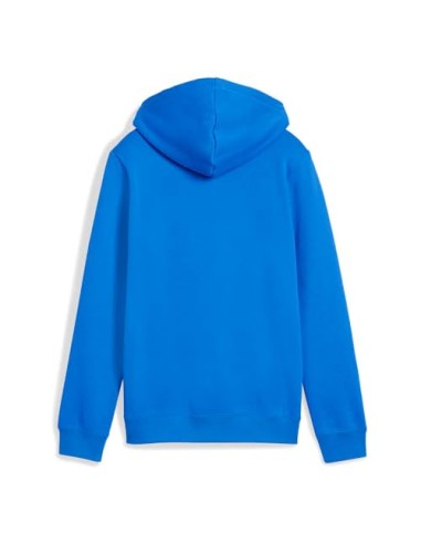 Sudadera Puma-PUMA ESS 2 COLOR Nº 1 LOGO HOODIE
