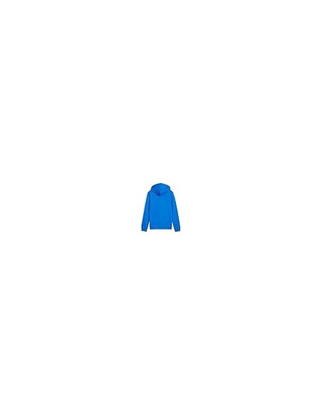 Sudadera Puma-PUMA ESS 2 COLOR Nº 1 LOGO HOODIE