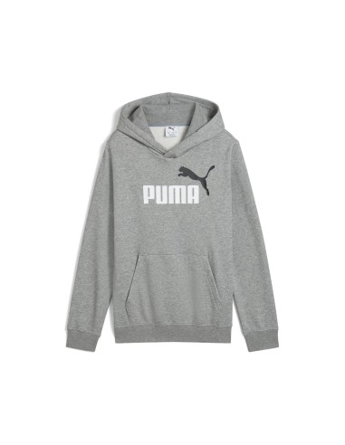 Sudadera Puma-PUMA ESS 2 COLOR Nº 1 LOGO HOODIE