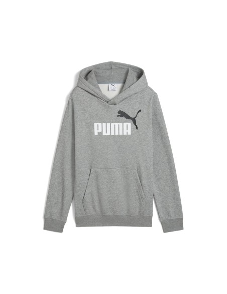 Sudadera Puma-PUMA ESS 2 COLOR Nº 1 LOGO HOODIE