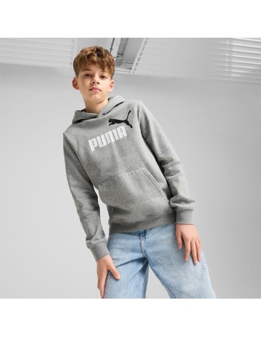 Sudadera Puma-PUMA ESS 2 COLOR Nº 1 LOGO HOODIE