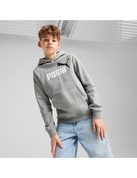Sudadera Puma-PUMA ESS 2 COLOR Nº 1 LOGO HOODIE