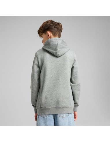 Sudadera Puma-PUMA ESS 2 COLOR Nº 1 LOGO HOODIE