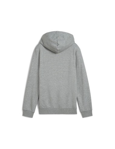 Sudadera Puma-PUMA ESS 2 COLOR Nº 1 LOGO HOODIE