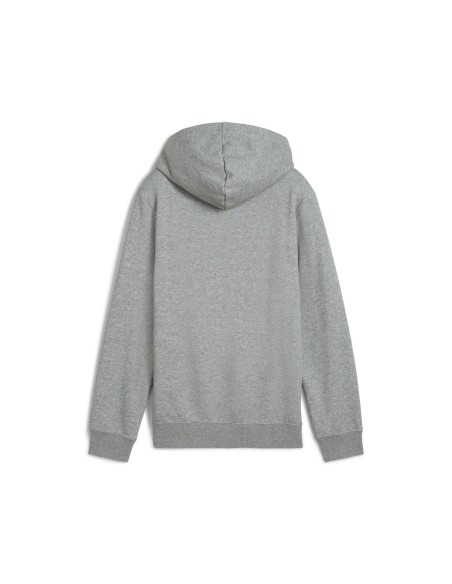 Sudadera Puma-PUMA ESS 2 COLOR Nº 1 LOGO HOODIE