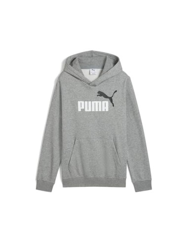 Sudadera Puma-PUMA ESS 2 COLOR Nº 1 LOGO HOODIE