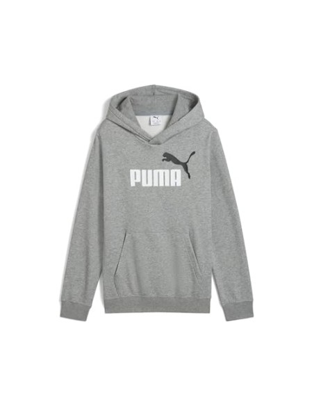 Sudadera Puma-PUMA ESS 2 COLOR Nº 1 LOGO HOODIE
