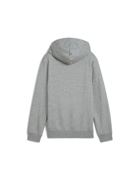 Sudadera Puma-PUMA ESS 2 COLOR Nº 1 LOGO HOODIE
