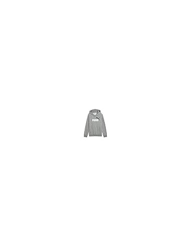 Sudadera Puma-PUMA ESS 2 COLOR Nº 1 LOGO HOODIE