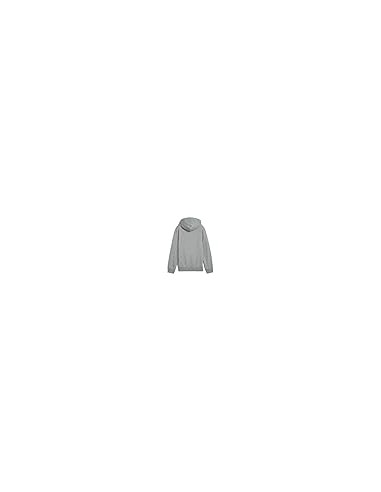 Sudadera Puma-PUMA ESS 2 COLOR Nº 1 LOGO HOODIE