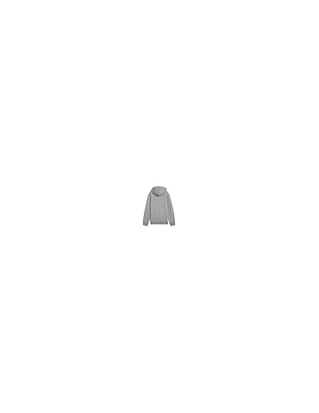 Sudadera Puma-PUMA ESS 2 COLOR Nº 1 LOGO HOODIE