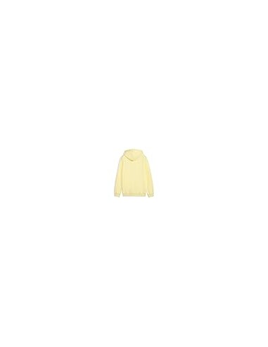 SUDADERA PUMA ESS 2 COLOR Nº 1 LOGO HOODIE GOLD...