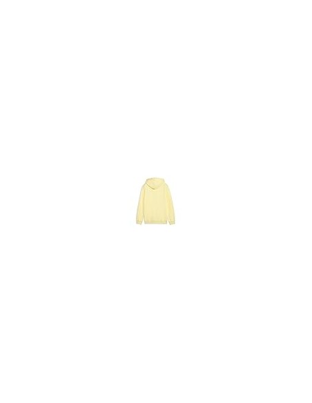 SUDADERA PUMA ESS 2 COLOR Nº 1 LOGO HOODIE GOLD MOON