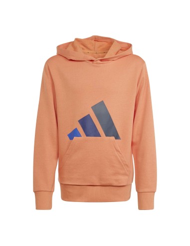 SUDADERA J BL FT HD 280
