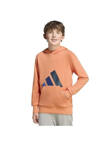 SUDADERA J BL FT HD 280