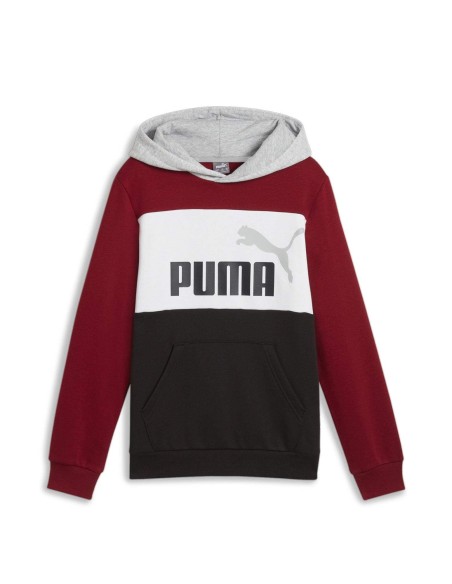 Sudadera PUMA ESS BLOCK Hoodie FL, Intense Red